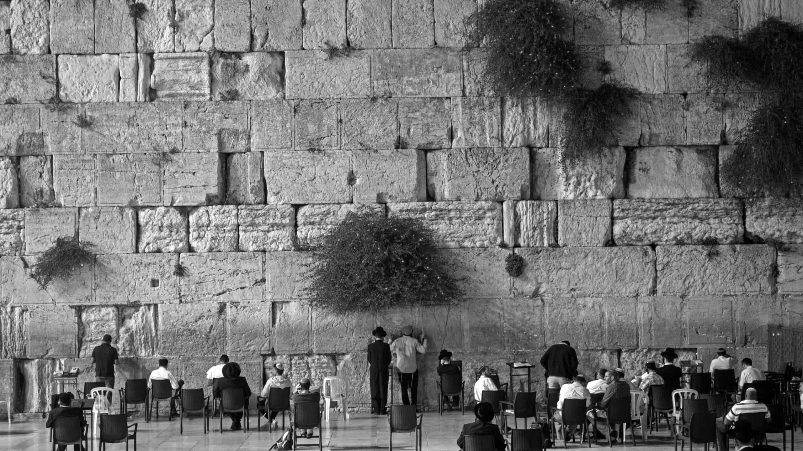 P7132370rr editedbw 1 scaled