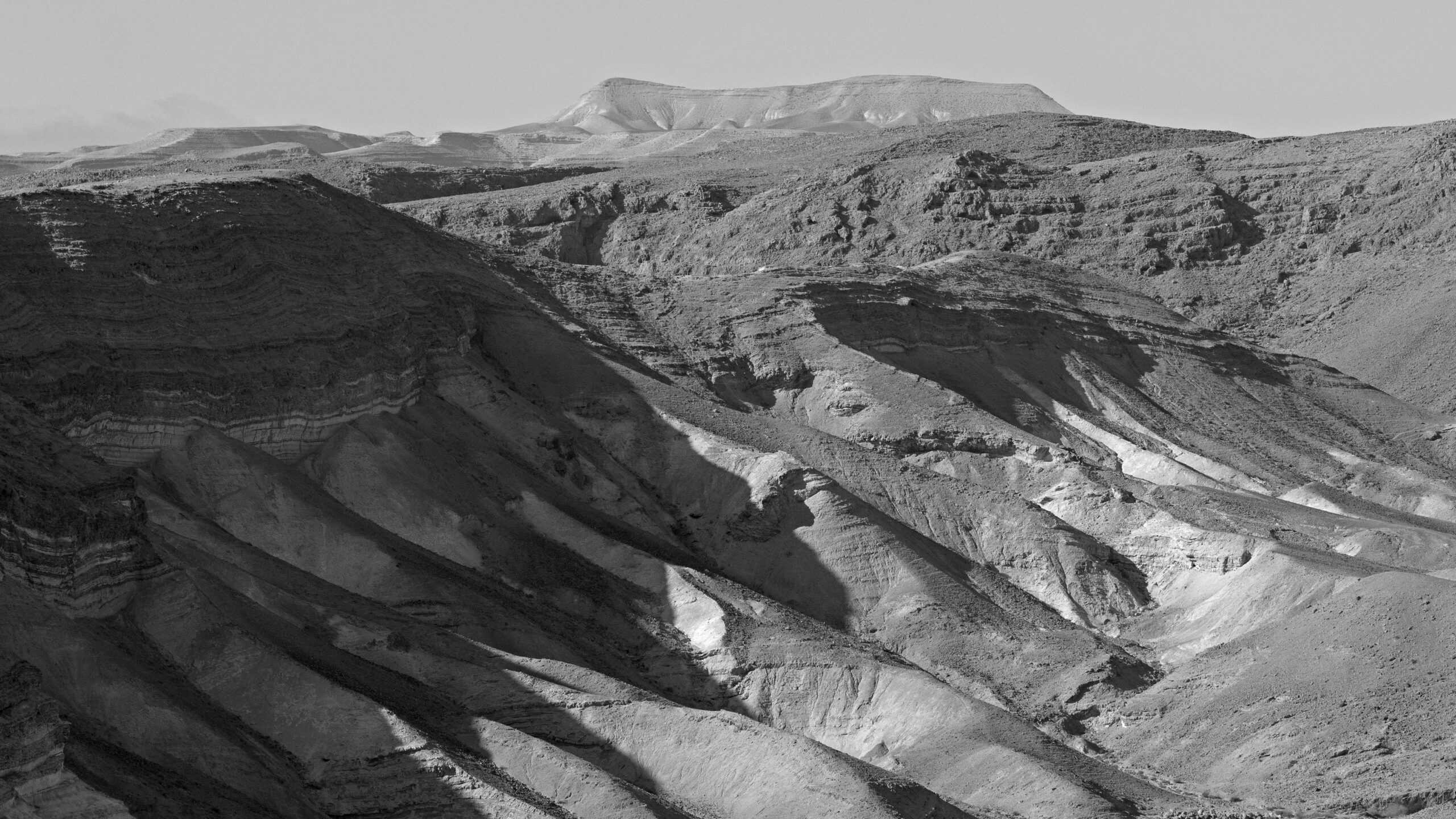 PC140352 Errditrr scaled