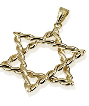 14k gold twisted star david necklace
