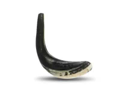 Classic Ram's Horn Shofar in Grey (11-13 inch) Polished
