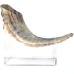 classic-rams-horn-shofar-11-13-inch-polished_4