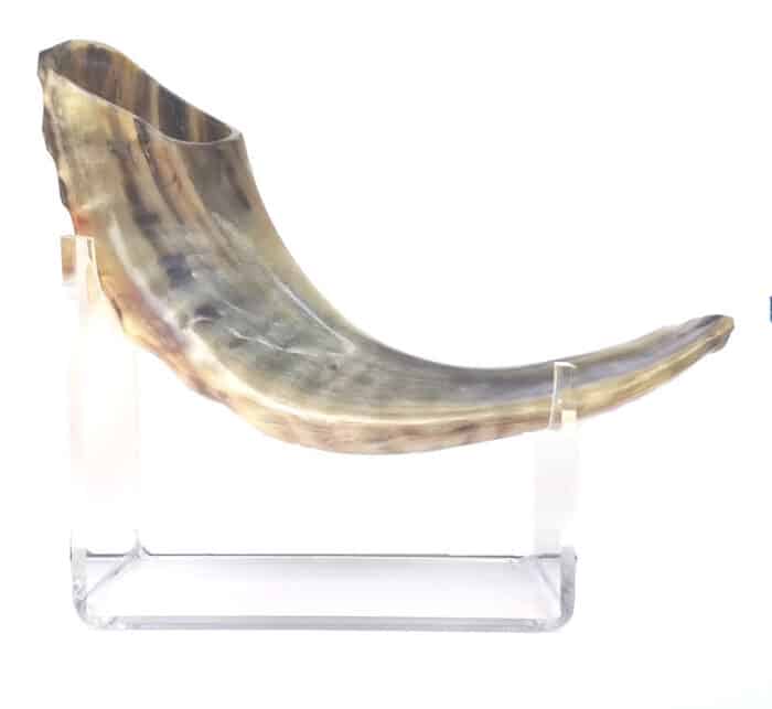 classic-rams-horn-shofar-11-13-inch-polished_4